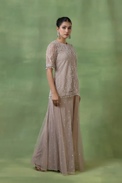 Beige Georgette & Net Embellished Sharara Set