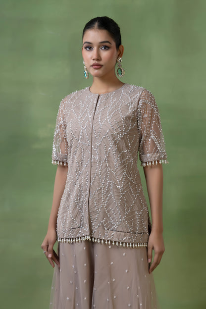 Beige Georgette & Net Embellished Sharara Set